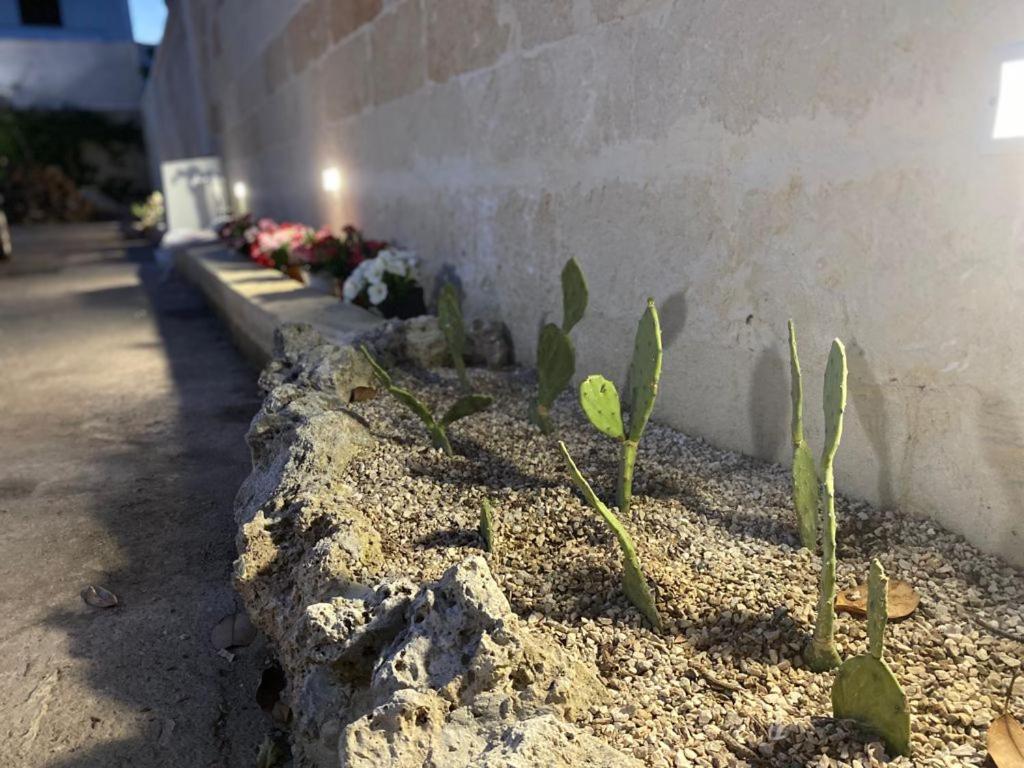 Viro House Panzió Squinzano Kültér fotó